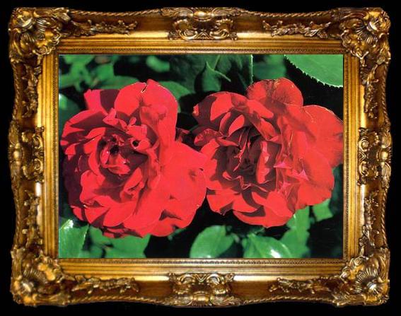 framed  unknow artist Still life floral, all kinds of reality flowers oil painting  253, ta009-2